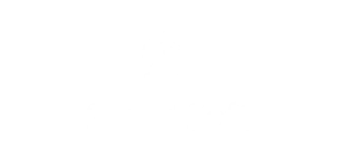 SmartSoft
